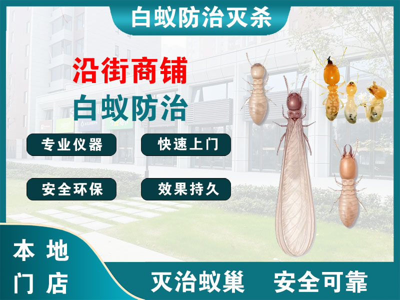 余杭区沿街商铺白蚁防治