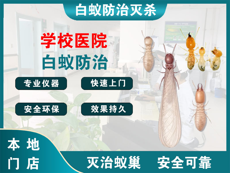 余杭区学校医院白蚁防治