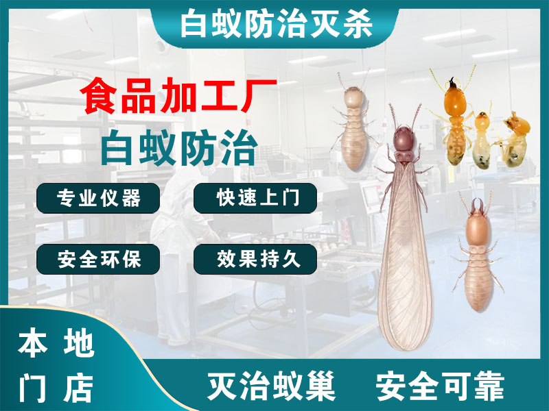 余杭区食品加工厂白蚁防治