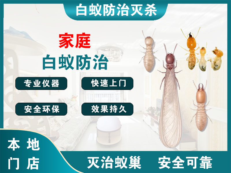 余杭区家庭白蚁防治
