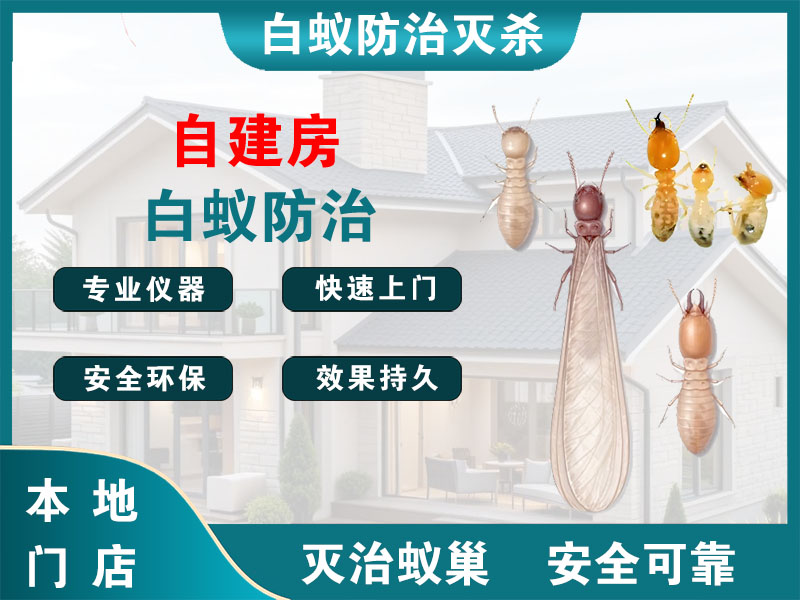 余杭区自建房白蚁防治