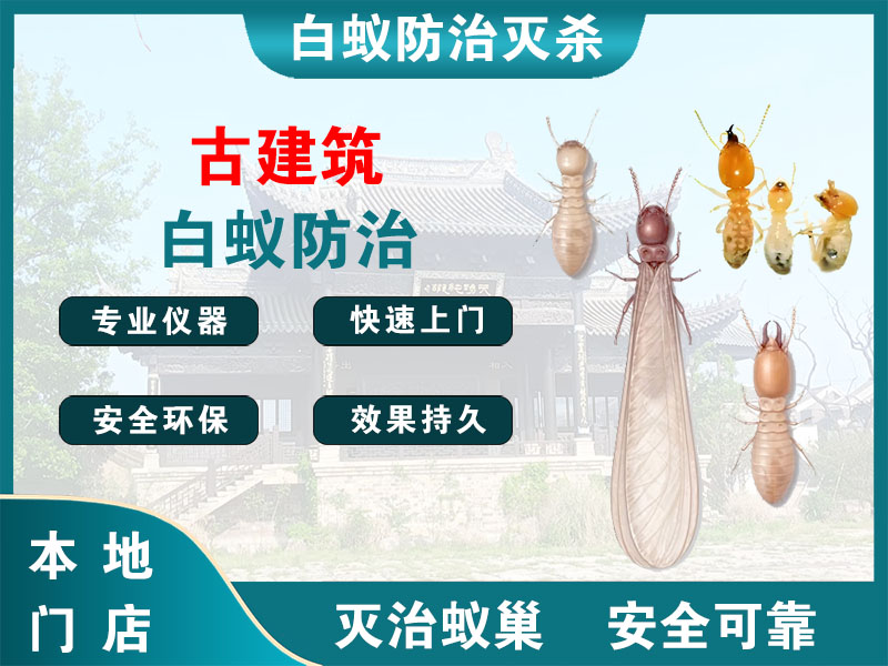 余杭区古建筑白蚁防治