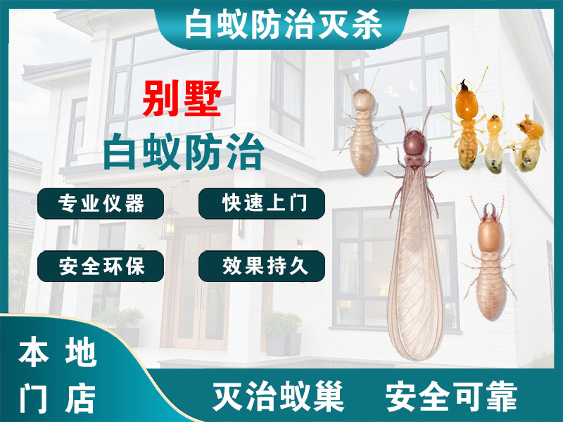 余杭区别墅白蚁防治